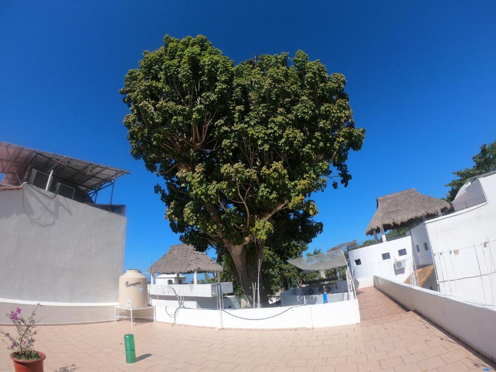 Casa Arbol de Paz Hab Sencilla photo 4