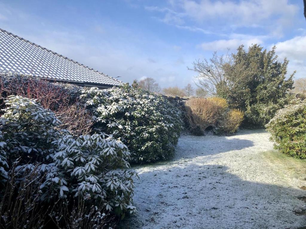 Haus Libelle, ebenerdig, WLAN, neu renoviert, hochwertig ausgestattet photo 4
