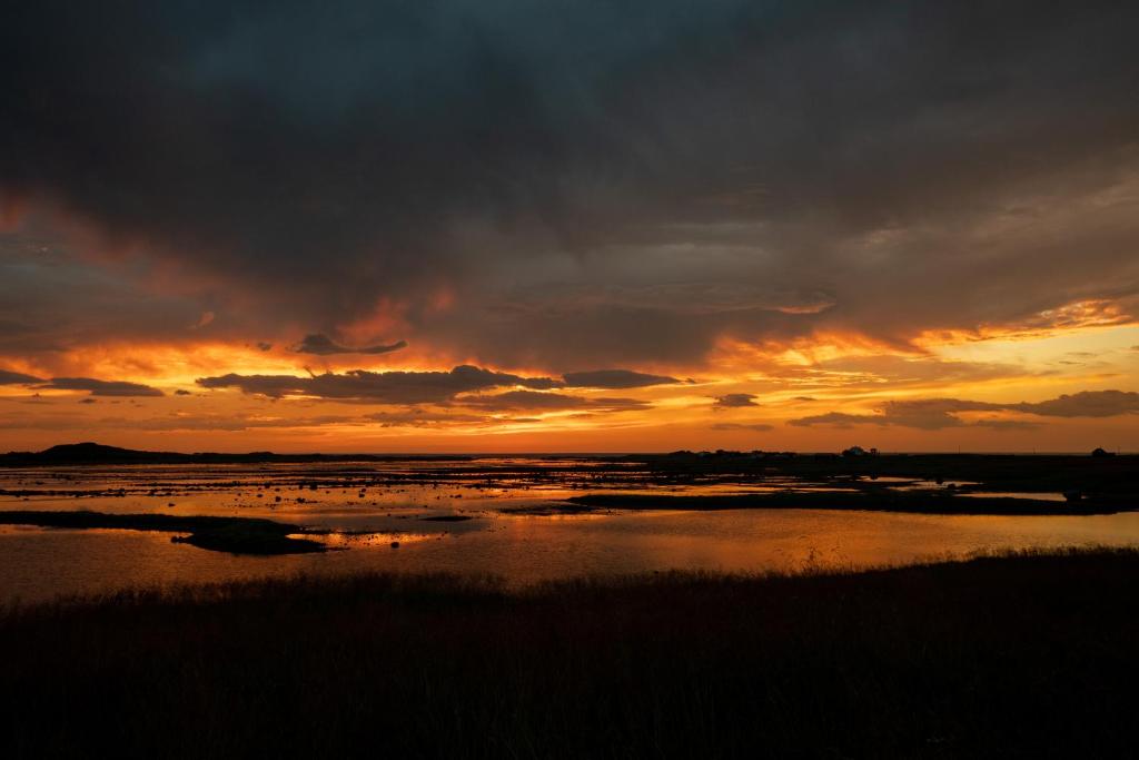 Superior Ocean View Lofoten photo 2
