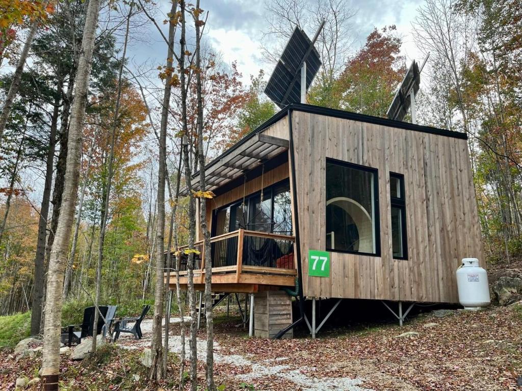 Cabin Zoobox 77 photo 3