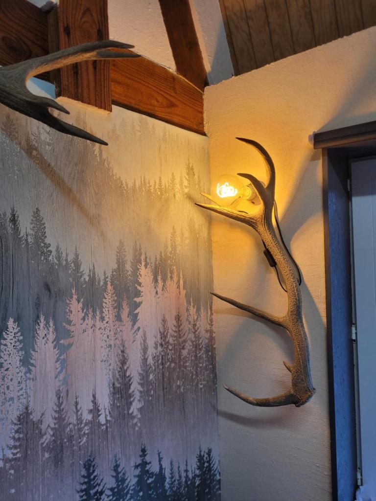 Tiny House - Mas du Lac photo 3