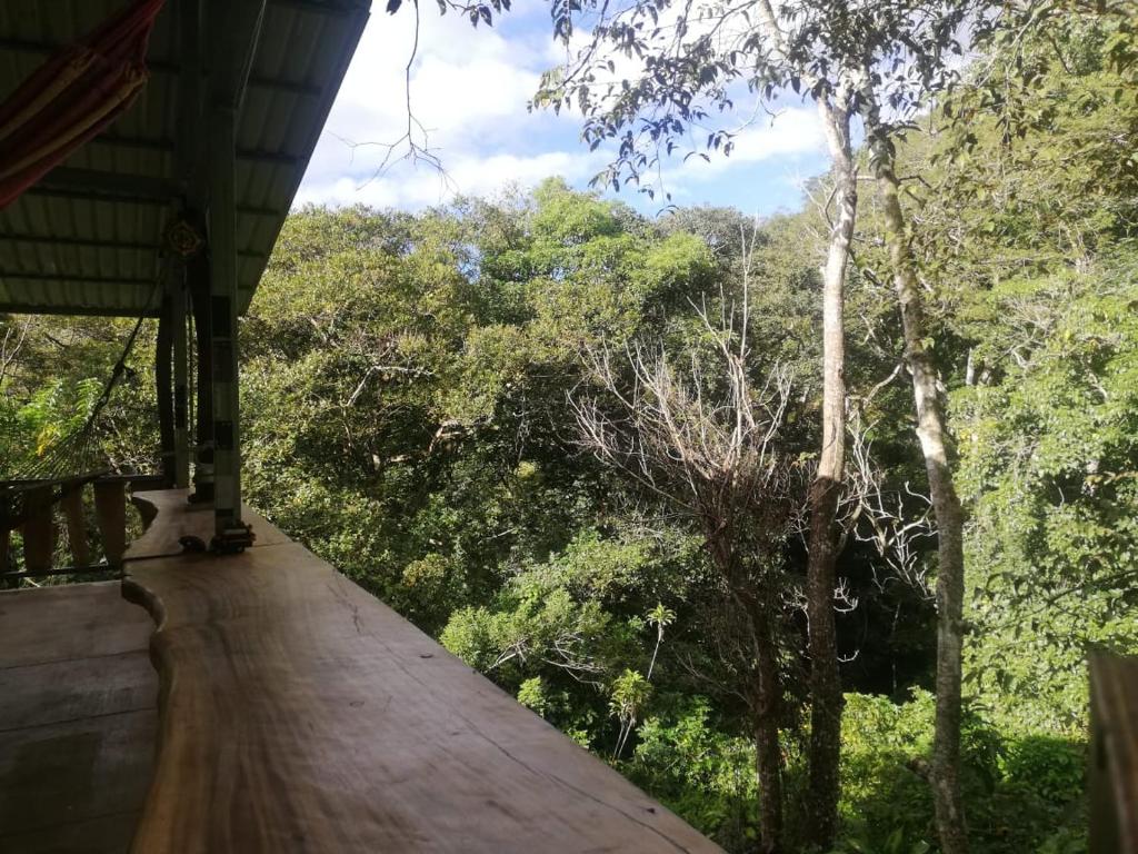 Casa el Colibrí photo 4