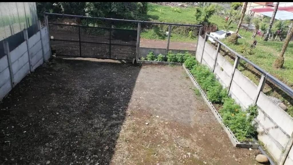 Cabinas Morpho Gardens photo 1
