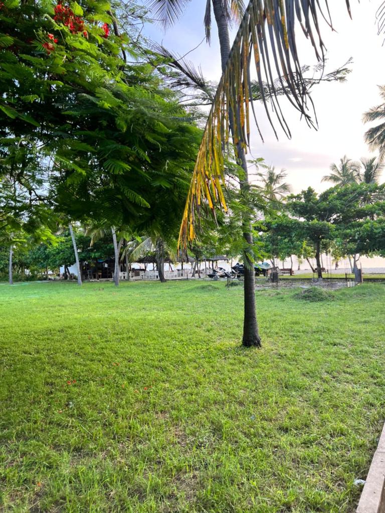 Waves and Wanderlust-Diani Beach photo 1