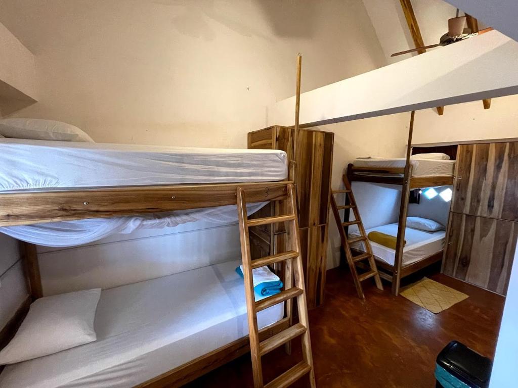Hostel Coco Loco photo 2