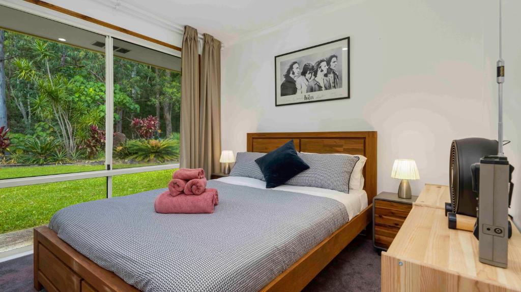 Byron Bay Hinterland Treasure photo 1