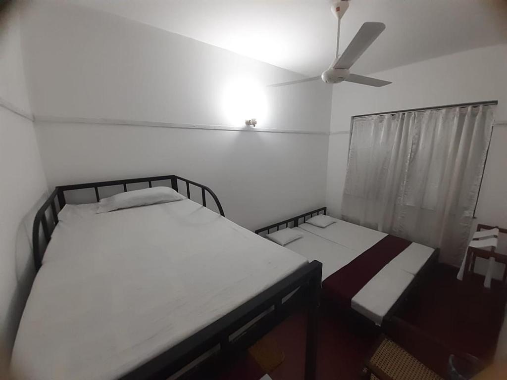 Lazy Bear Best Hostel in Kandy photo 1