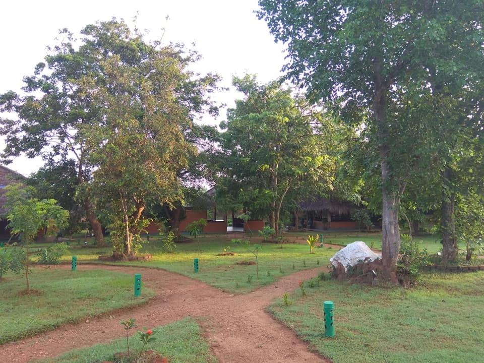 Cabanas by Cloudz Sigiriya photo 4