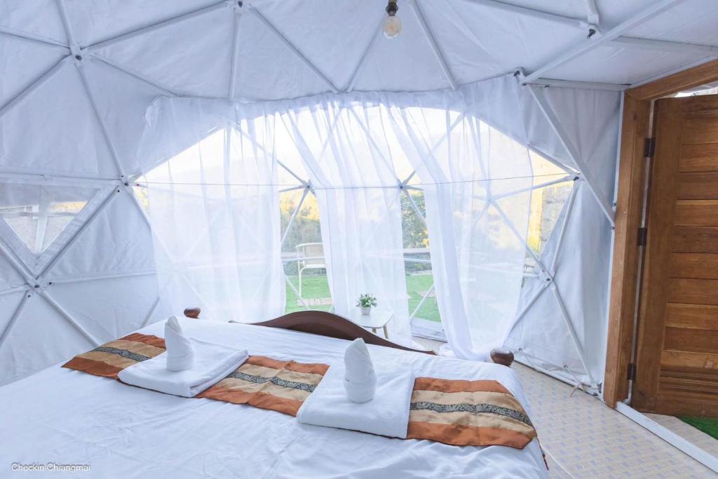 MAMI Glamping photo 2