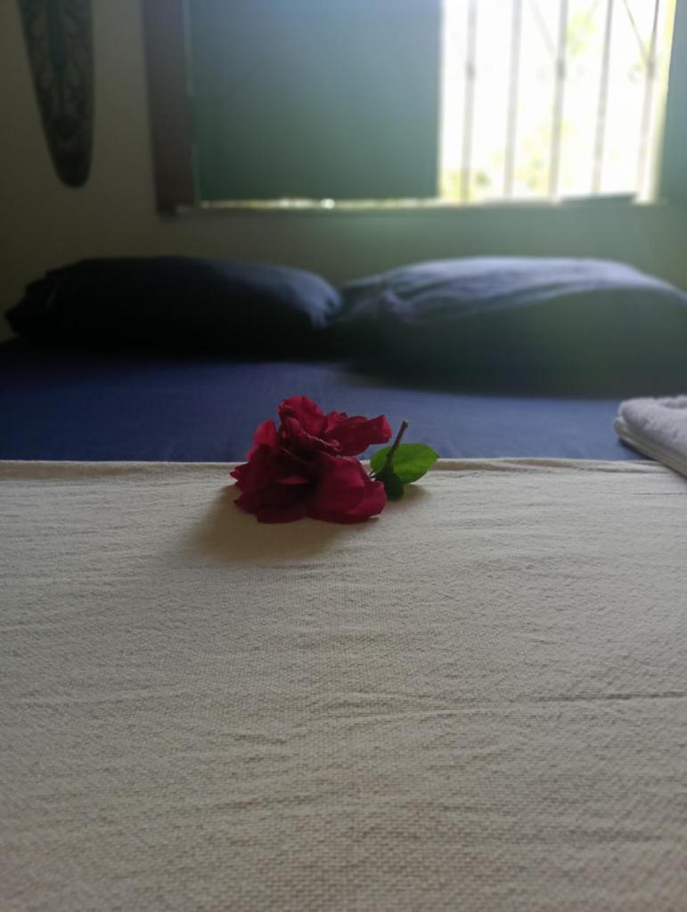 Casa Zohra photo 1