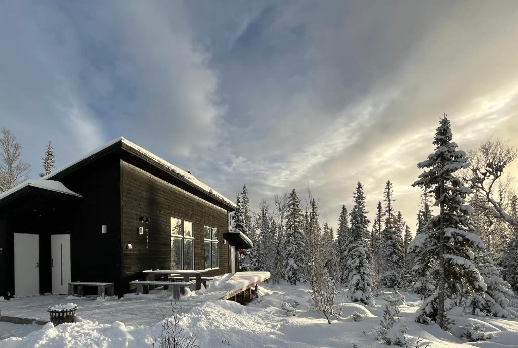 Mountain Holiday Homes - Ottsjö, Trillevallen -Sweden photo 1