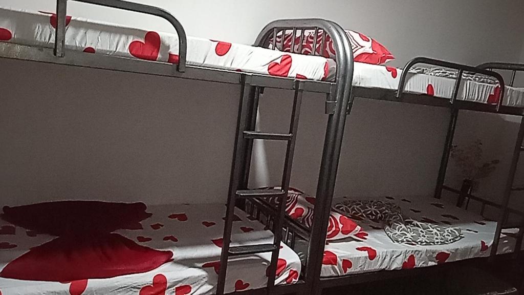 Affordable bedspacer good for 8 with breakfast SARAH'S HOUSE RENTAL, Bohol