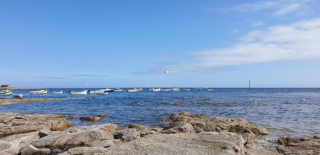 Vue mer, maison pour 4 a Penmarch photo 2