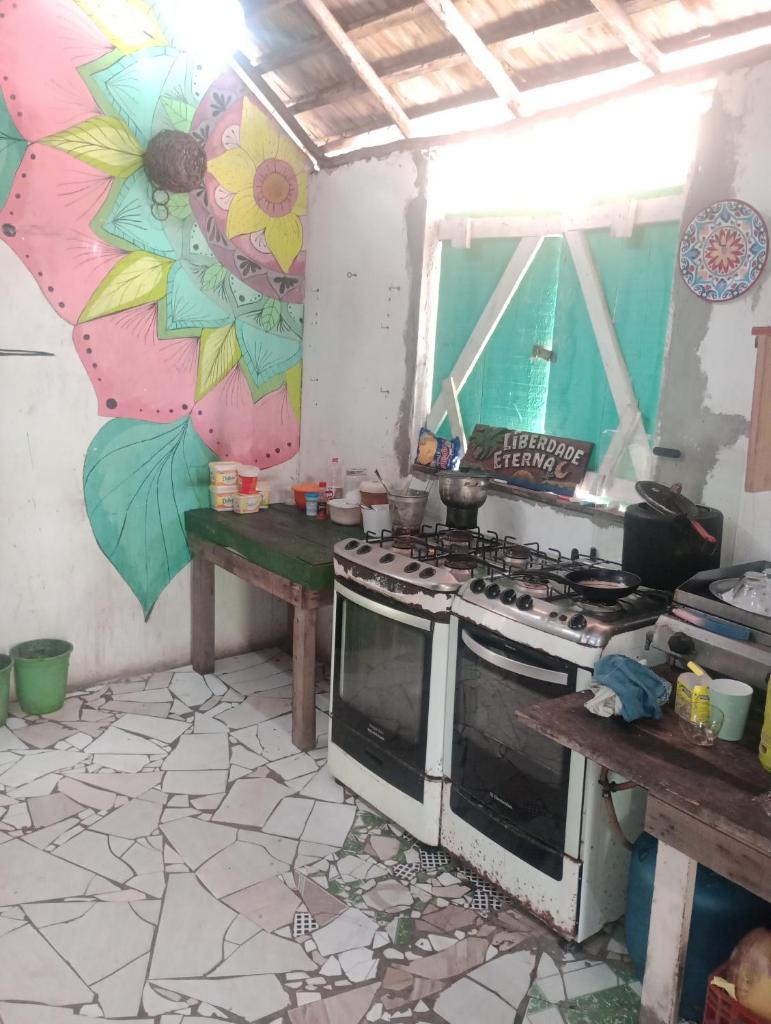 Cabana família coruja photo 1
