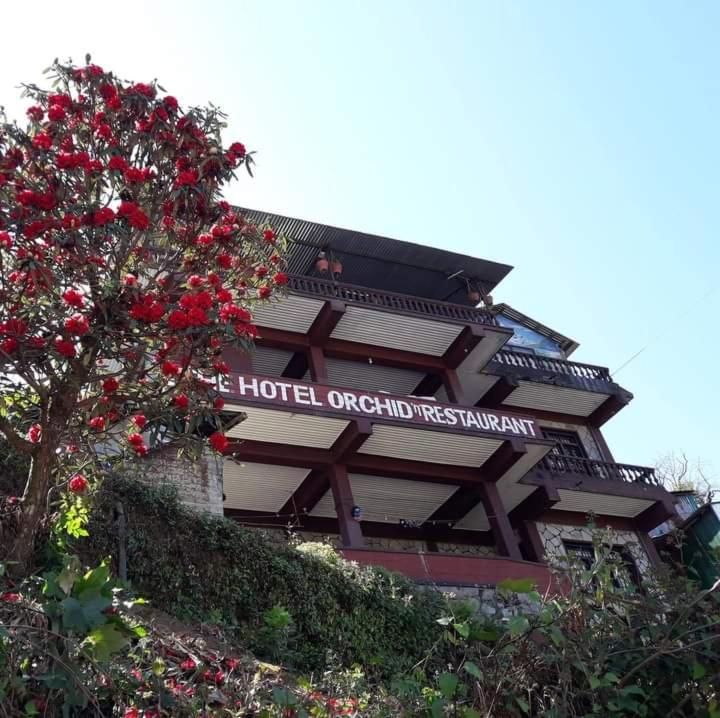 The Hotel Orchid & Restaurant photo 2