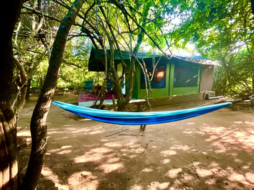 Podi Hoona Luxury Bush Camp photo 2