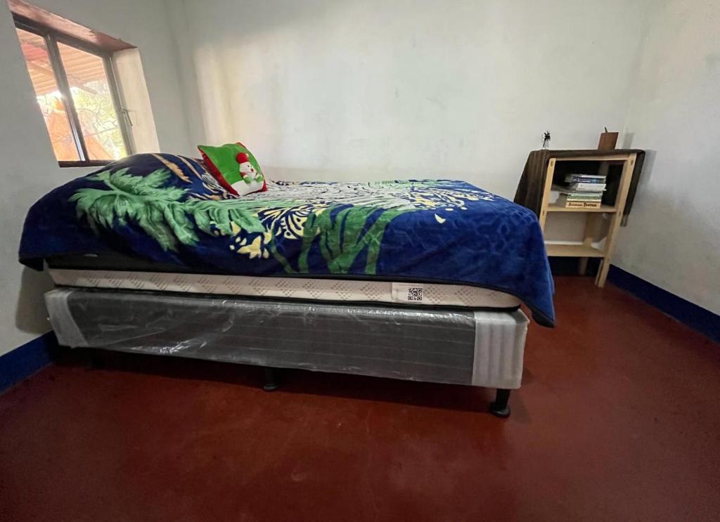 ELENA'S HOME STAY photo 4