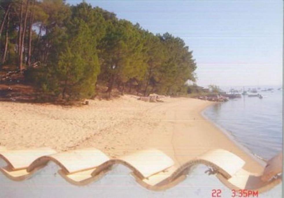 Cap Ferret - Seafront - Exceptional villa for rent 6-8 ppl photo 4