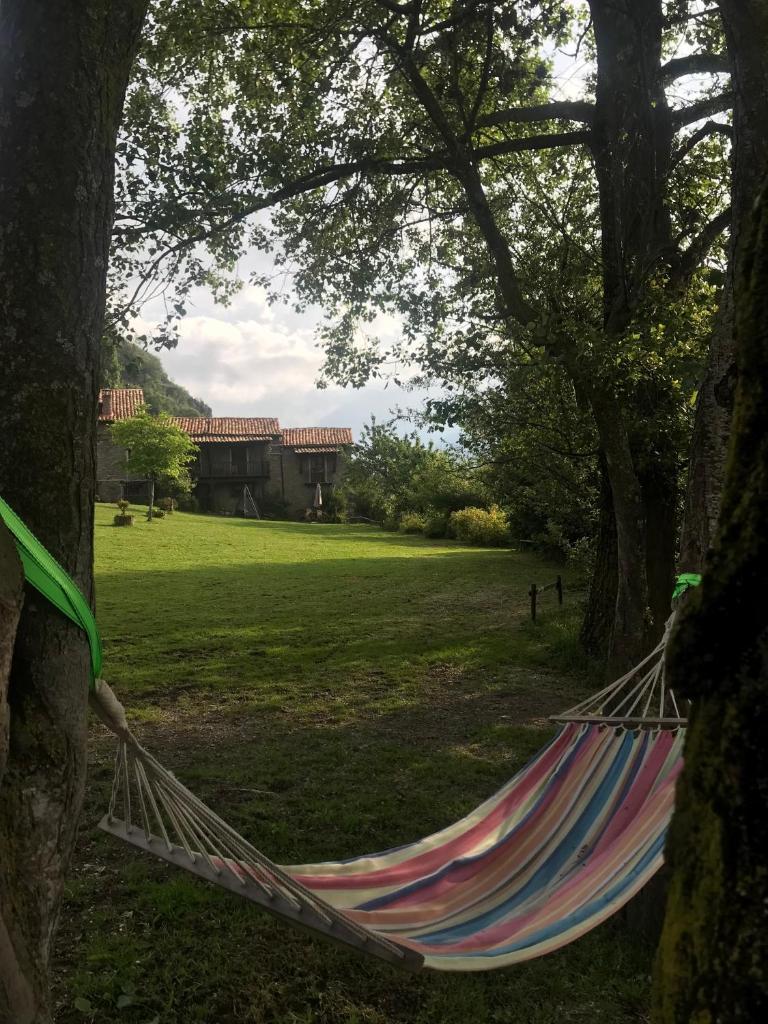 La Moixardina
