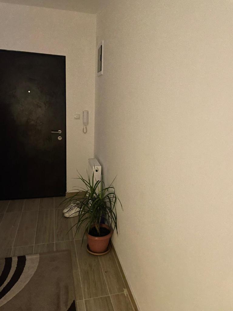 Ilić dvosoban apartman photo 2