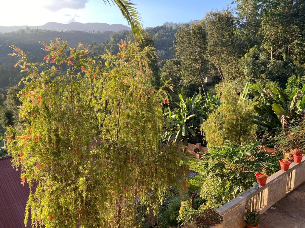 Lushoto views cottage photo 3