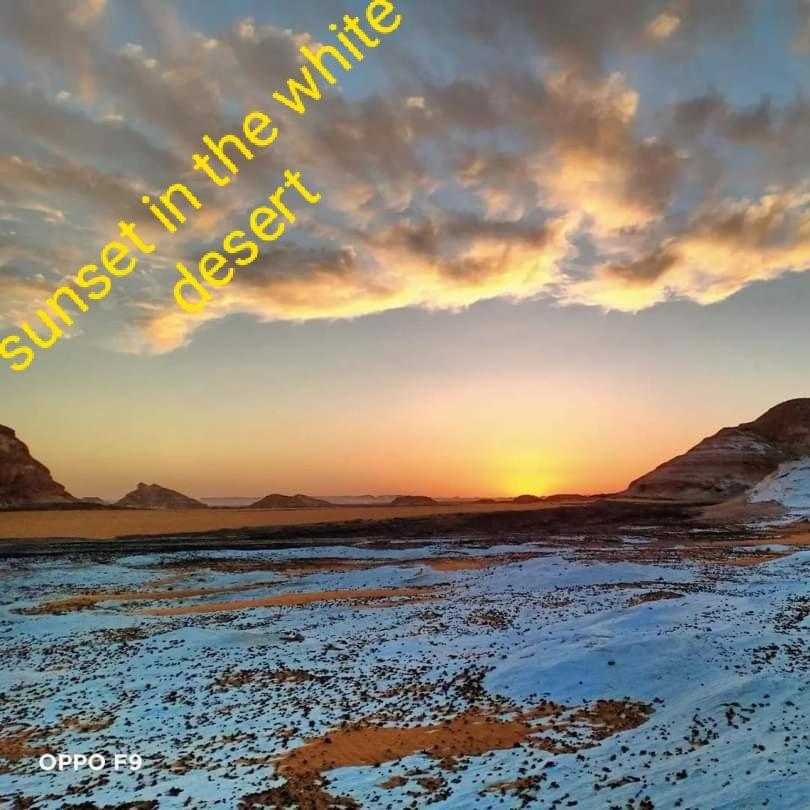 Five oasis desert camp photo 3