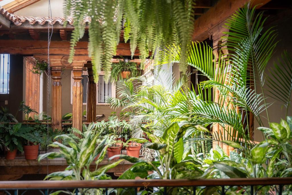 Hotel Rincon de Josefa photo 1