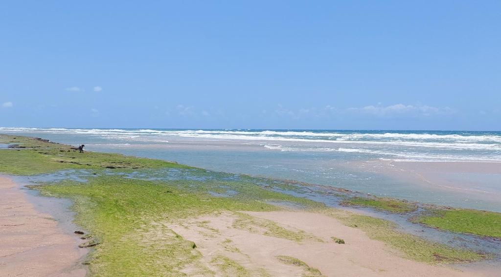 chalé na praia da Taiba photo 4