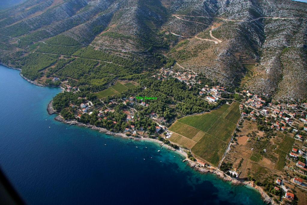 Villa Tamara photo 4