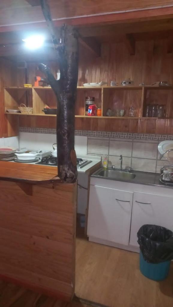 Hospedaje Alto Palena de Puerto Cisnes photo 2