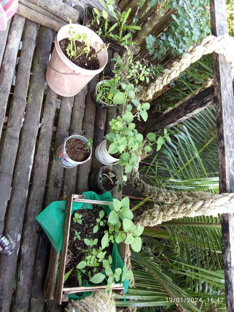 Casa Selva photo 2