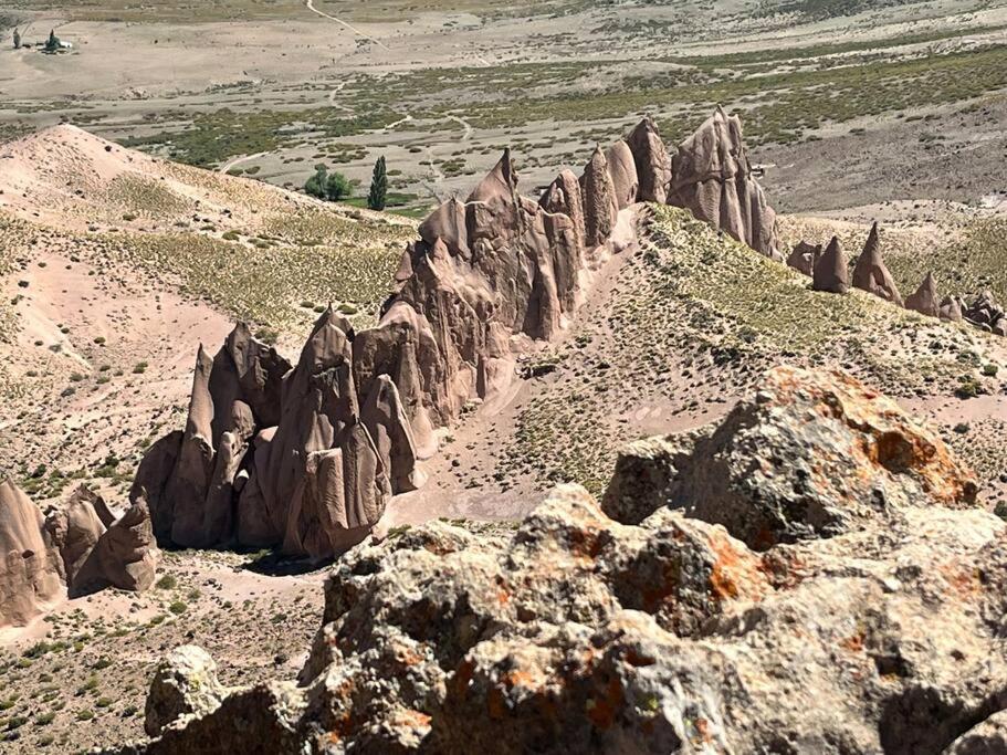 Pirca Malal photo 1