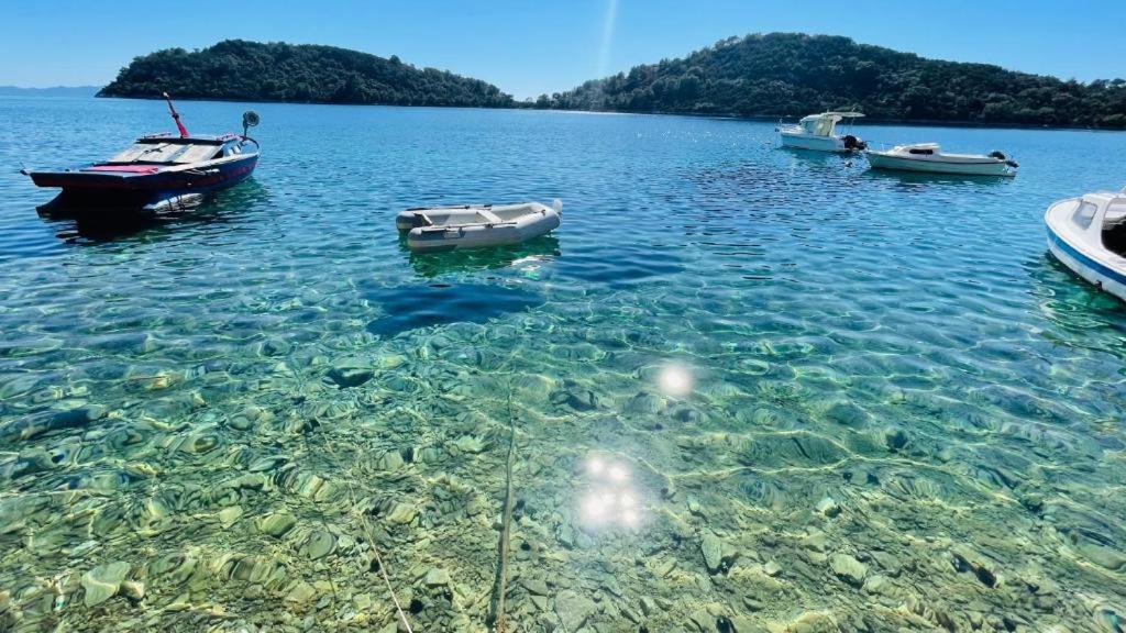 Lovely apartments on the private Beach - island Korčula