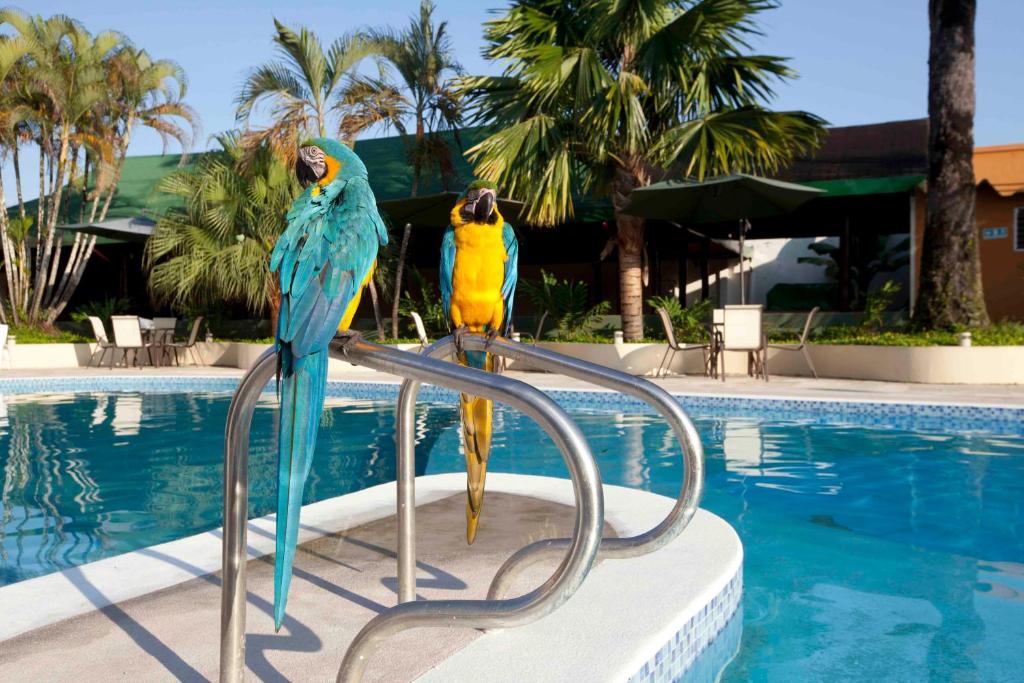 Hotel Anaconda photo 2