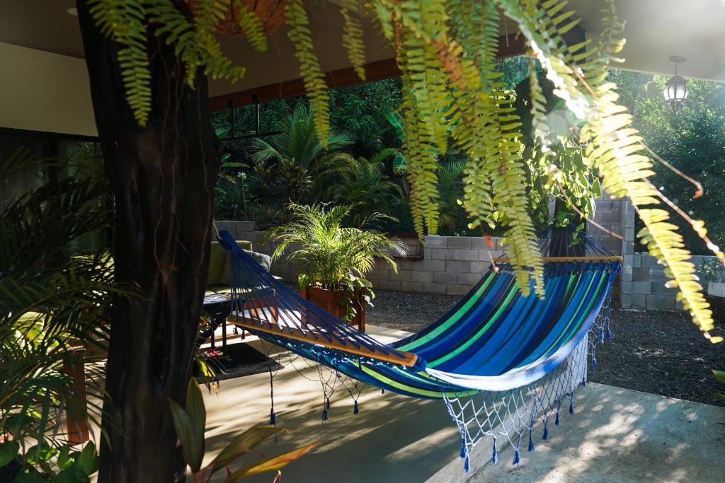 House in the palm forest photo 4