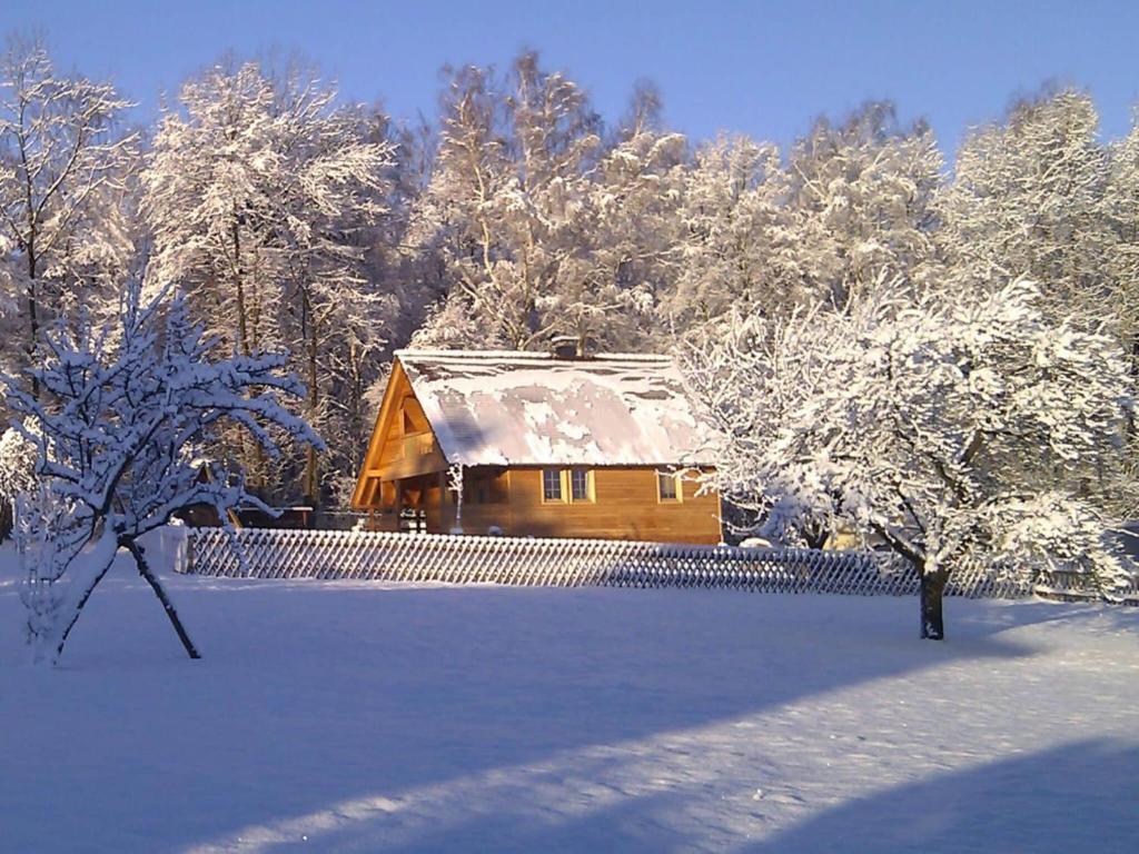 Beautiful apartment near ski-lift photo 2