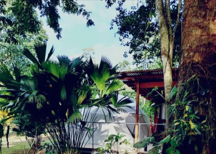 Glamping Naioth photo 1