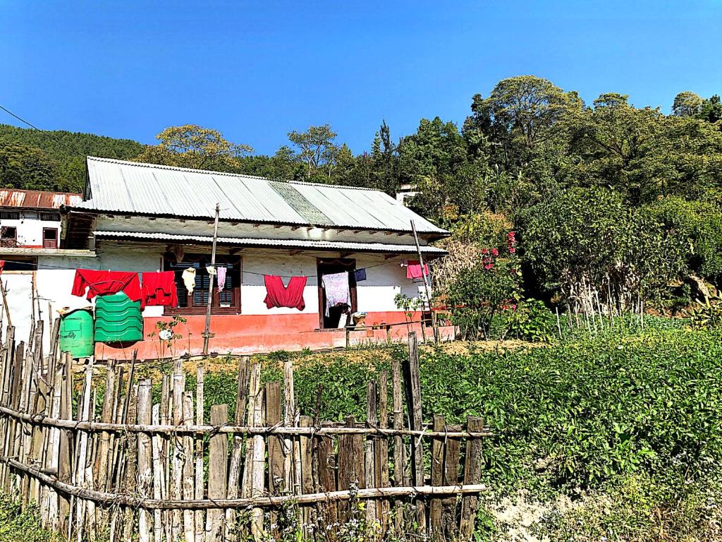 Sabitri Homestay