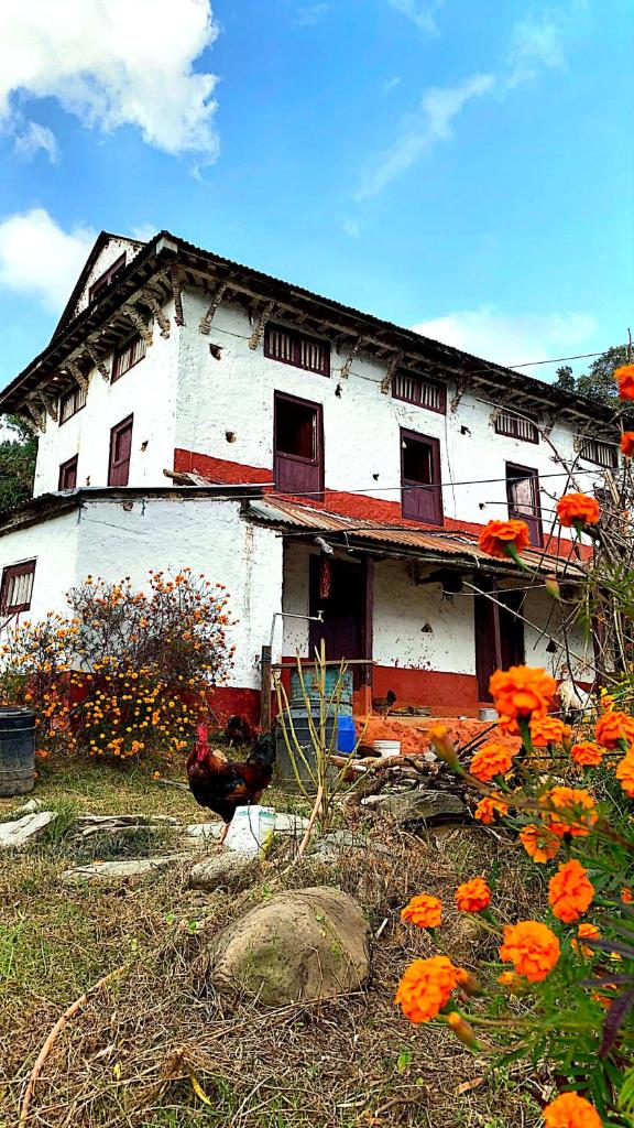 Sabitri Homestay photo 3
