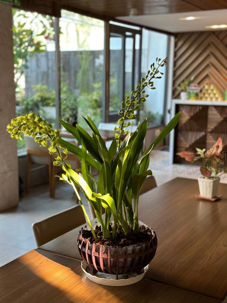 Ponte Boutique Villa