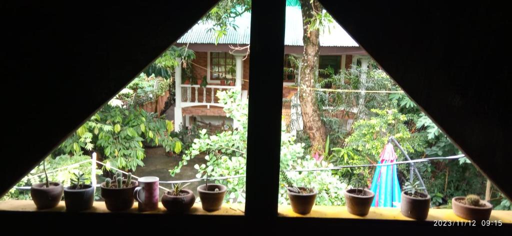 Dulangan Puerto Galera Transient Place photo 1