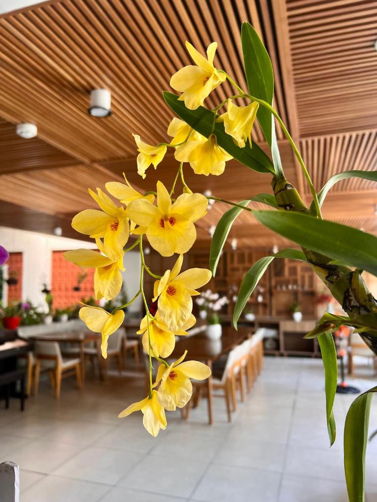 Ponte Boutique Villa