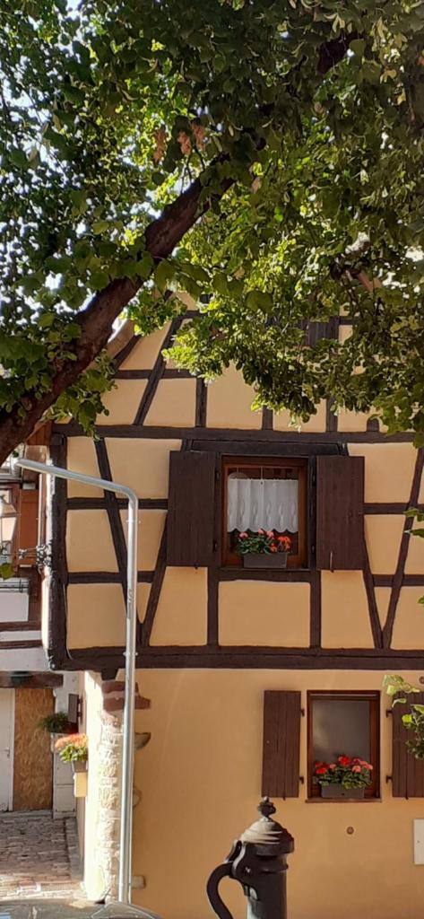 Gîte de la Muse photo 1