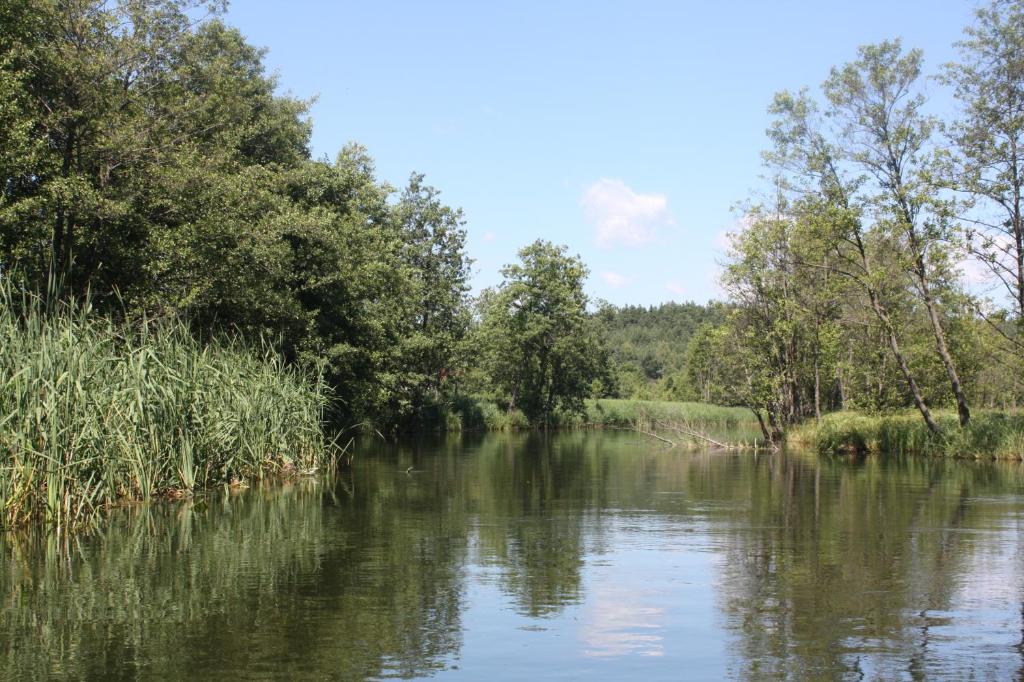 Domek z Widokiem. photo 2