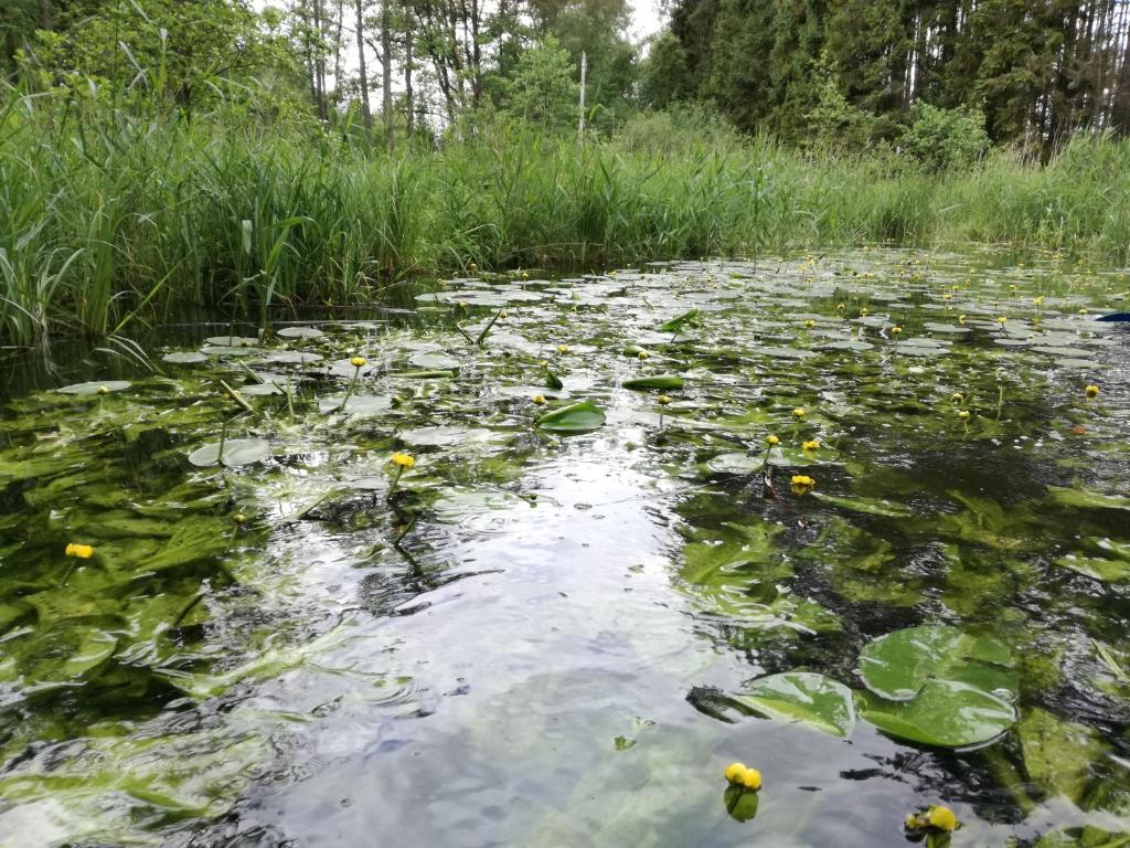 Domek z Widokiem. photo 4
