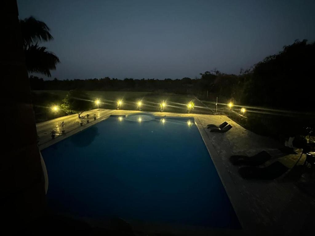 Gir Night Resort photo 3