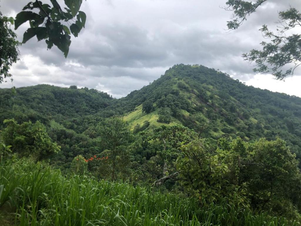 Ceylon Guest photo 3