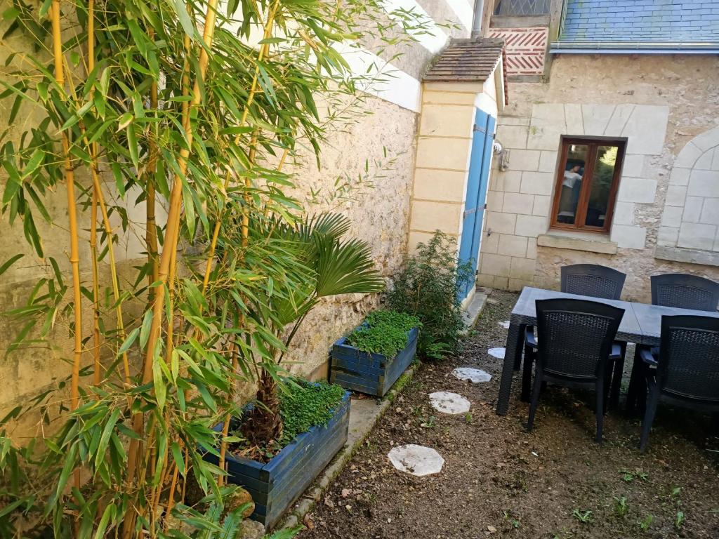Gîte avec vue sur l'Indre photo 2