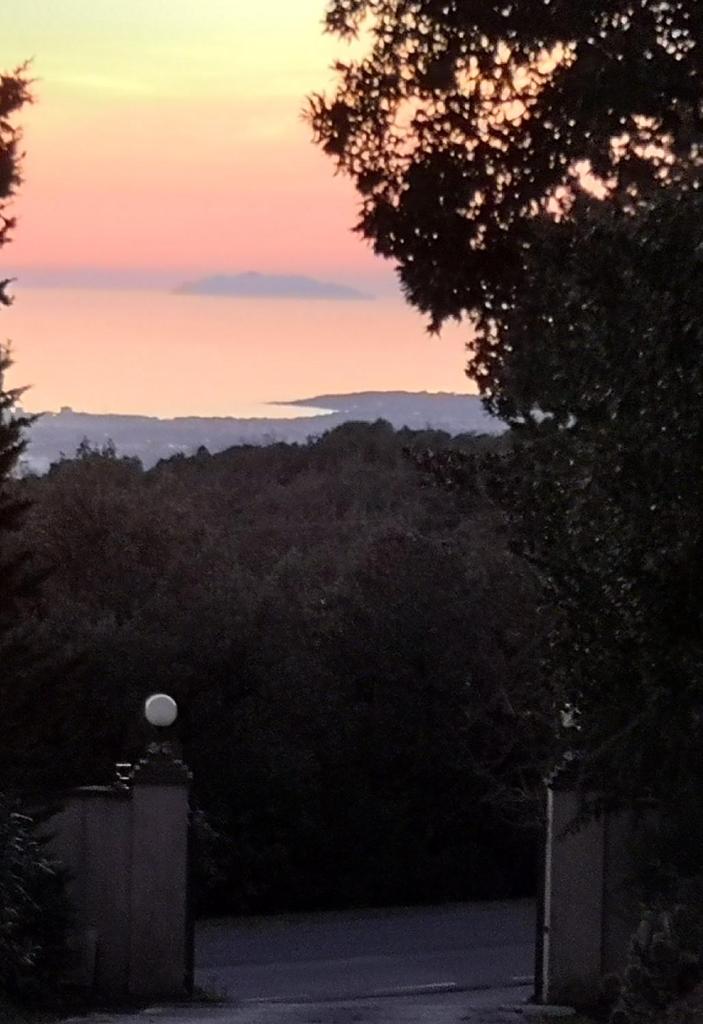 Villa Simonetta photo 1
