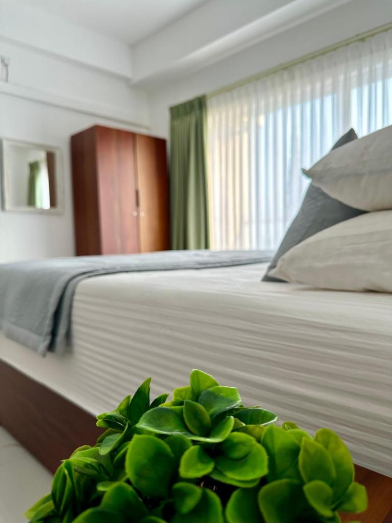 Ocean Breeze Hotel Residencies BritLanka Apartments Negombo photo 1
